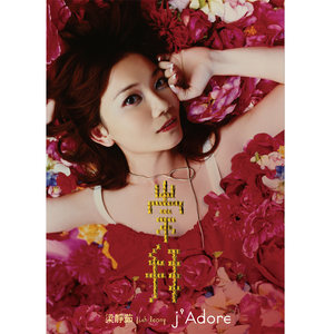 日本体内she精汇编
