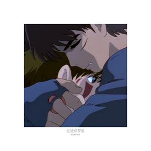 日本体内she精汇编
