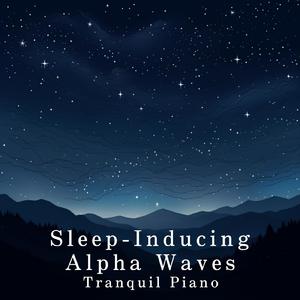 日本体内she精汇编
